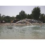 Den hvide pool havde også legeplads